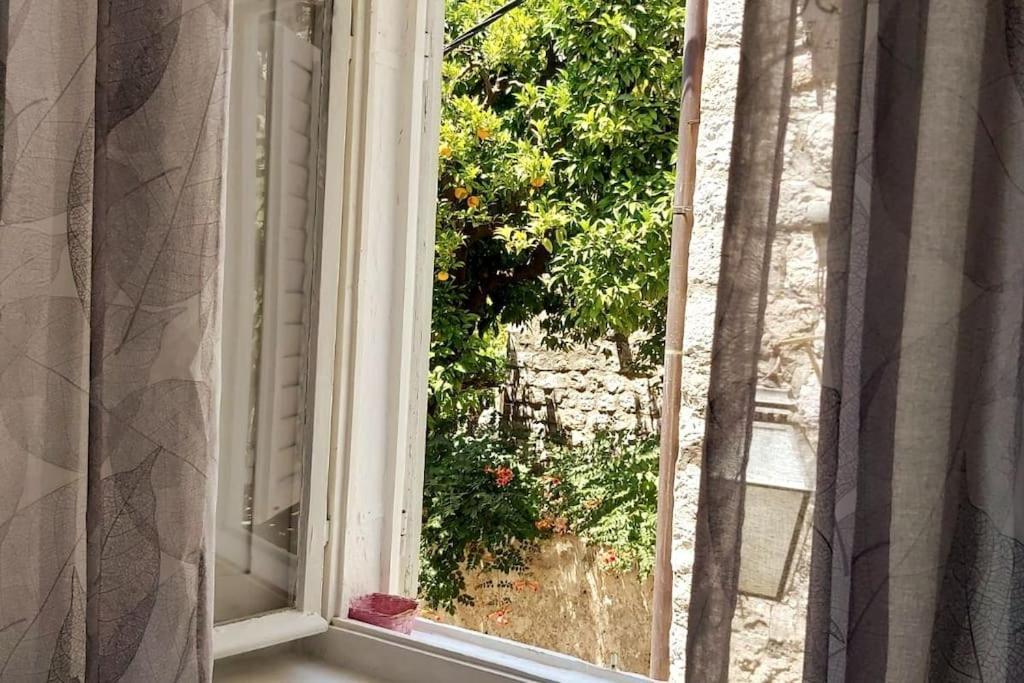 Apartament House Marija In Old Town Dubrownik Zewnętrze zdjęcie