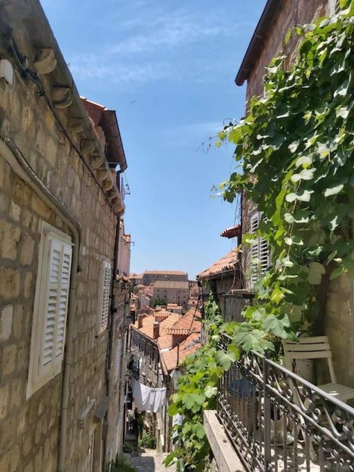Apartament House Marija In Old Town Dubrownik Zewnętrze zdjęcie